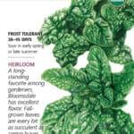 Bloomsdale Spinach seed packet