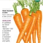 Danvers 126 Organic Seed Packet