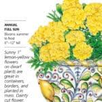 Lemon Drop French Marigold seed packet