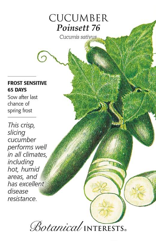 Cucumber, "Poinsett 76" Seeds Gulley Greenhouse