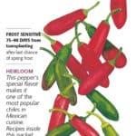 Serrano Chile Pepper seed packet